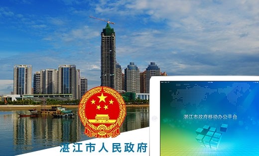 【湛江政府】OA办公系统开发