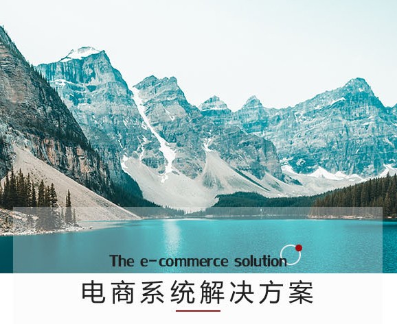 B2C标准商城开发